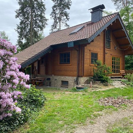 Waldhaus Eichhoernchen Бад-Шмидеберг Экстерьер фото